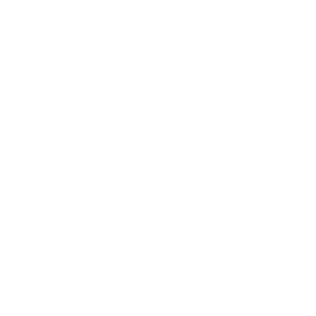 TDMS